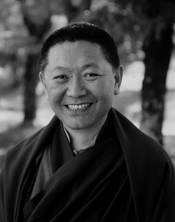 Ringu Tulku
