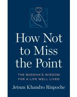 How Not to Miss the Point cover