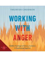 Working with Anger
