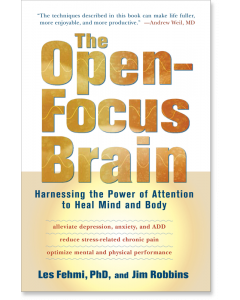 The Open-Focus Brain