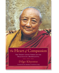 The Heart of Compassion