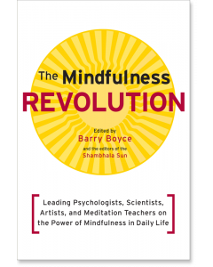 The Mindfulness Revolution