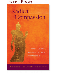 Radical Compassion