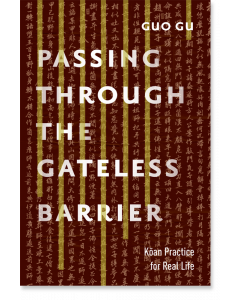 Passing Through the Gateless Barrier