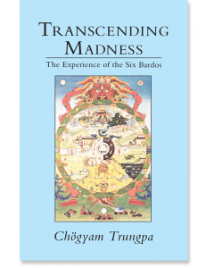 Transcending Madness