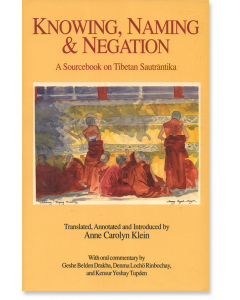 Knowing, Naming, and Negation