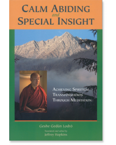 Calm Abiding and Special Insight