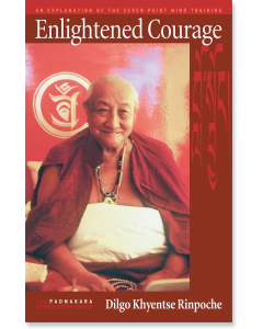 Enlightened Courage