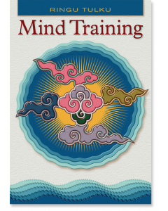 Mind Training