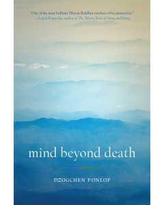 Mind Beyond Death