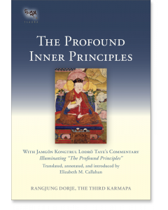 The Profound Inner Principles