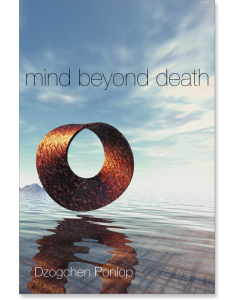 Mind Beyond Death