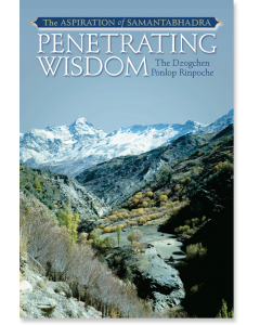 Penetrating Wisdom