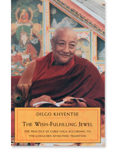 The Wish-Fulfilling Jewel