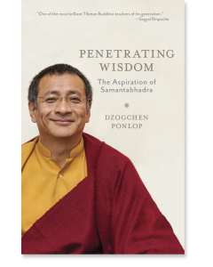 Penetrating Wisdom