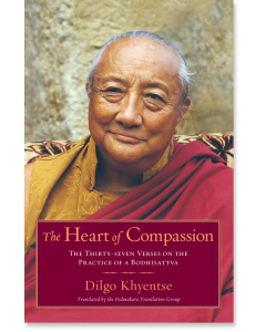 The Heart of Compassion