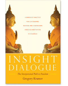 Insight Dialogue
