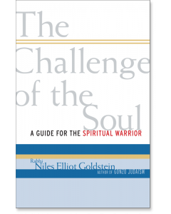 The Challenge of the Soul