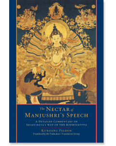 The Nectar of Manjushri's Speech