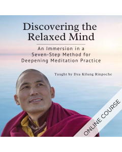 Discovering the Relaxed Mind