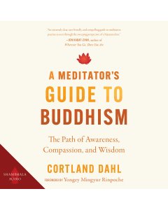 A Meditator's Guide to Buddhism