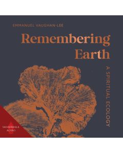 Remembering Earth
