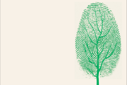 A Reader’s Guide to Greening Your Bookshelf