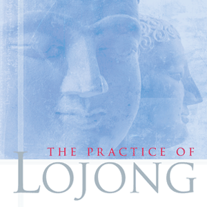 Hidden Treasure - The Practice of Lojong