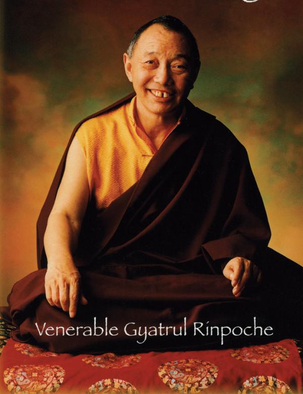 Gyatrul Rinpoche: A Guide for Readers