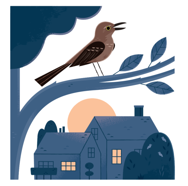 ACTIVITY: "Dawn Chorus" from I Love Birds! by Jennifer Ward