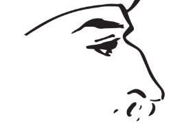 Jalaluddin Rumi : Persia's Greatest Mystic Poet