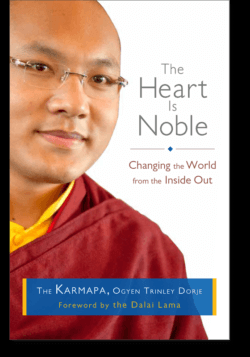 The Discovery and Recognition of Ogyen Trinley Dorje