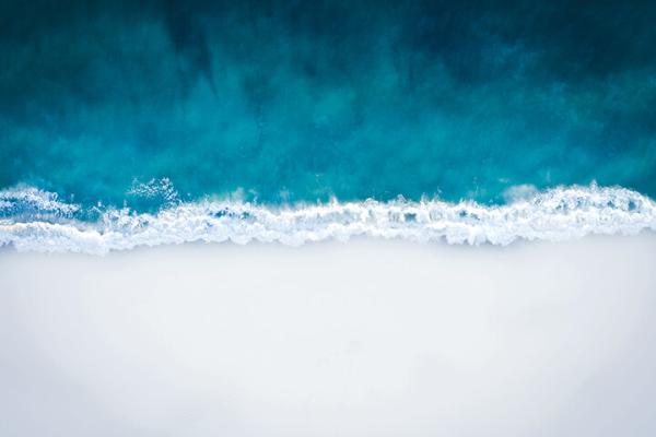 Free Video Series with Pema Chödrön