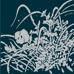 Hidden Treasure - Beneath a Single Moon