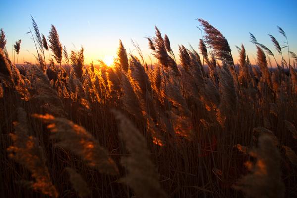 Bearing Witness | Social Distancing and Beyond