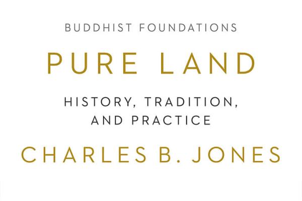 Pure Land Origins in China