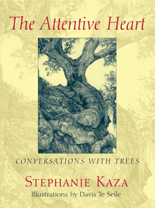 Hidden Treasure - The Attentive Heart