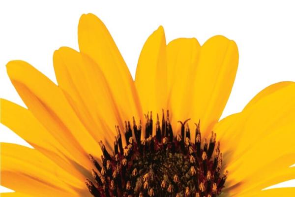 Hidden Treasure - Waking Up to What You Do