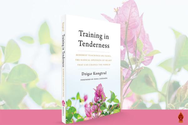 Dzigar Kongtrul Rinpoche & Pema Chödrön in Conversation | Free Video Offering