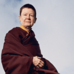 Pema Chodron on Remaining Like a Log