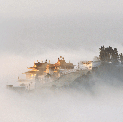 On the Path to Enlightenment