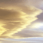 Hidden Treasure - Faith in Mind