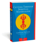 Cutting Through Spiritual Materialism and Meditation in Action