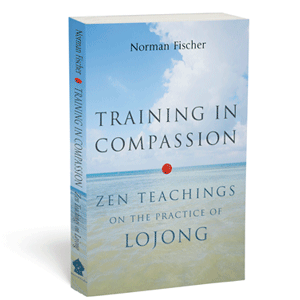 Training in Compassion