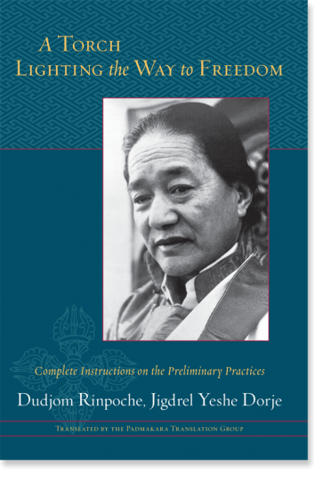 torch lighting the way cover image