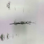 practice of mindful photography