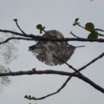 practice of mindful photography