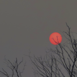 practice of mindful photography