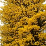 practice of mindful photography