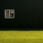 practice of mindful photography